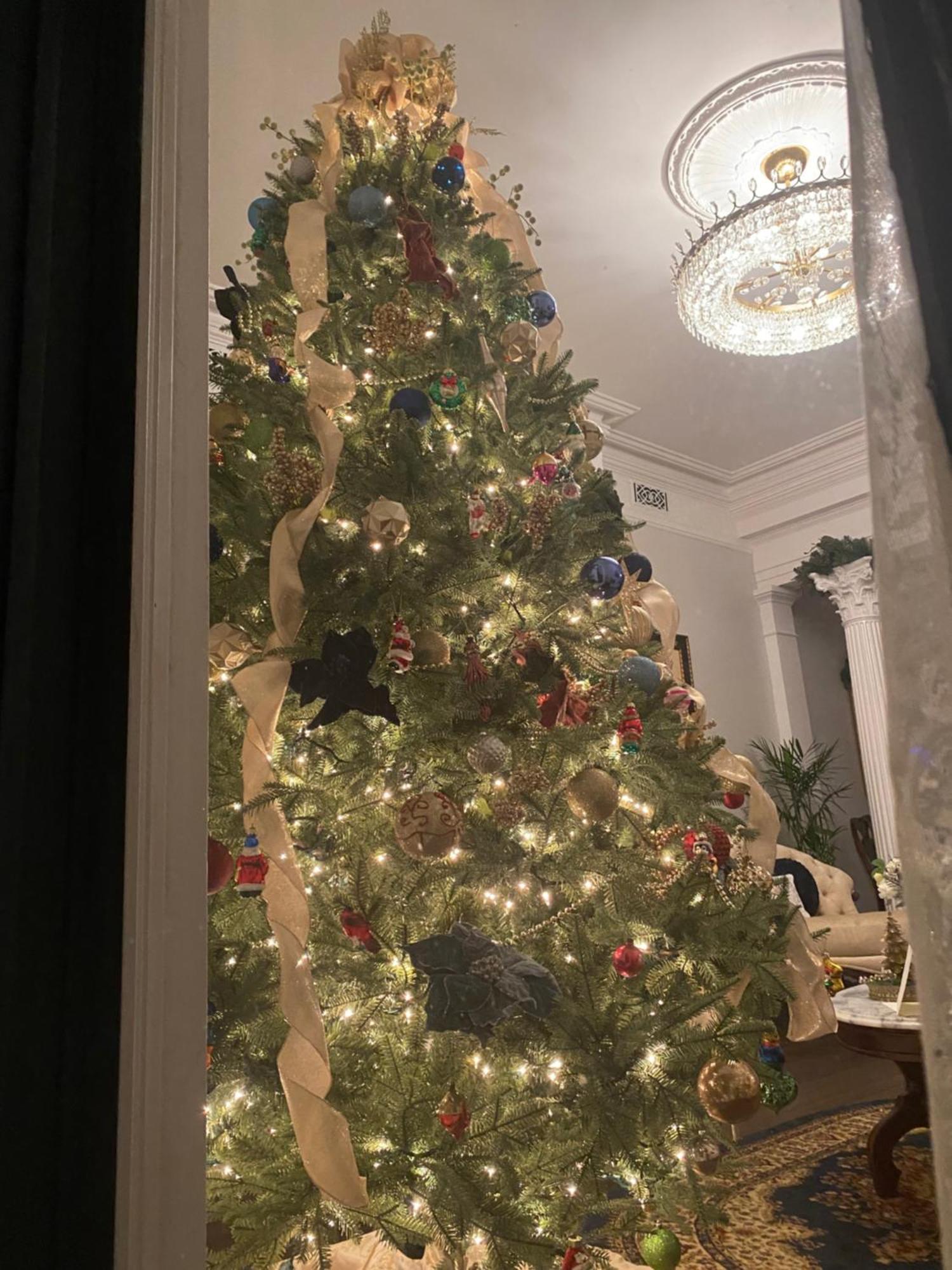 Belle Louise Historic Bed & Breakfast Падука Екстериор снимка